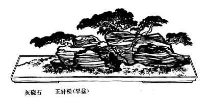 Chinese landscape on plate (19)